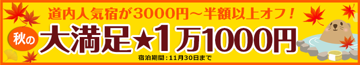 【トップページ中部：上】大満足★1万1000円