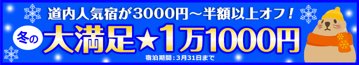 【トップページ中部：上】大満足★1万1000円