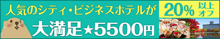 【トップページ中部：中】大満足★5500円