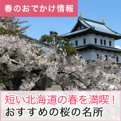 【トップページ中部：2枚以上-1段目】【エリア別】北海道の桜の名所！8kmの桜並木やライトアップなど圧巻の景色