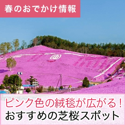 【トップページ中部：2枚以上-1段目】【春の風物詩】北海道の芝桜の名所5選！一緒に楽しめるおまつりも開催