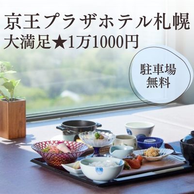 京王プラザホテル1万1000円