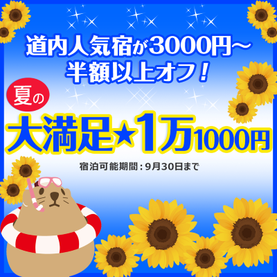 2025夏の大満足★1万1000円