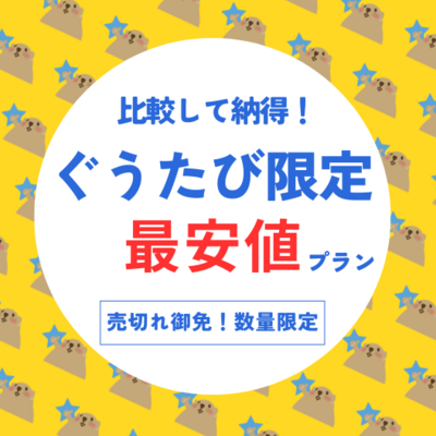 ぐうたびが最安値！プラン特集