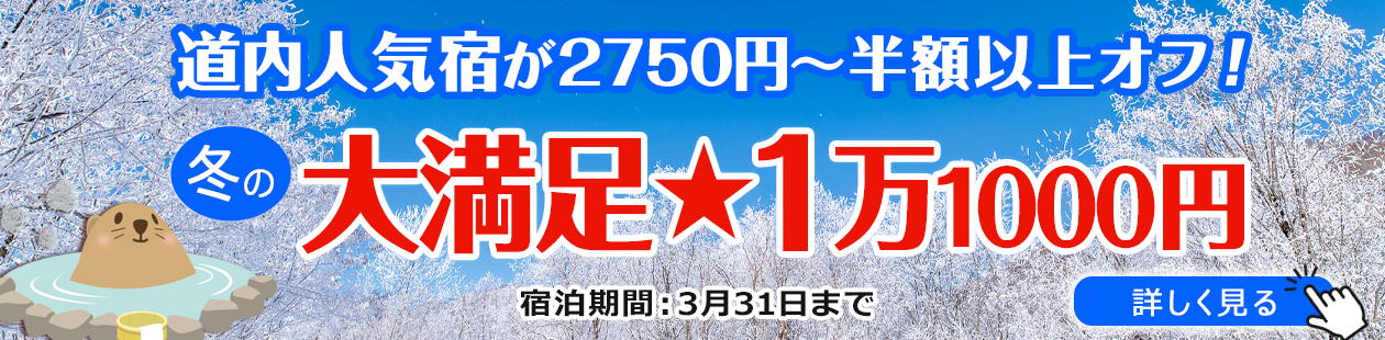 大満足★1万1000円