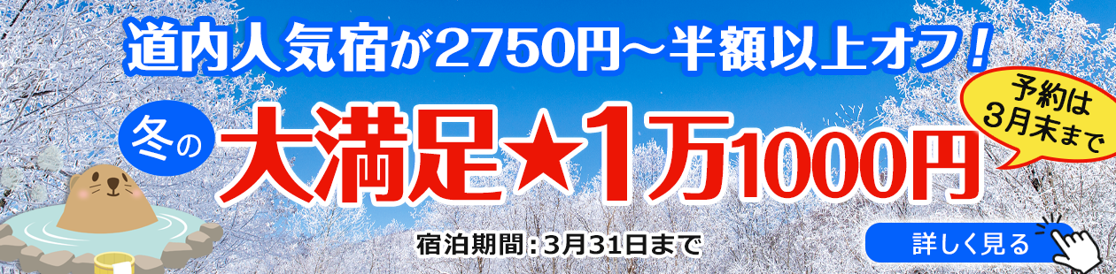 大満足★1万1000円　①