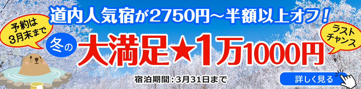 大満足★1万1000円　③