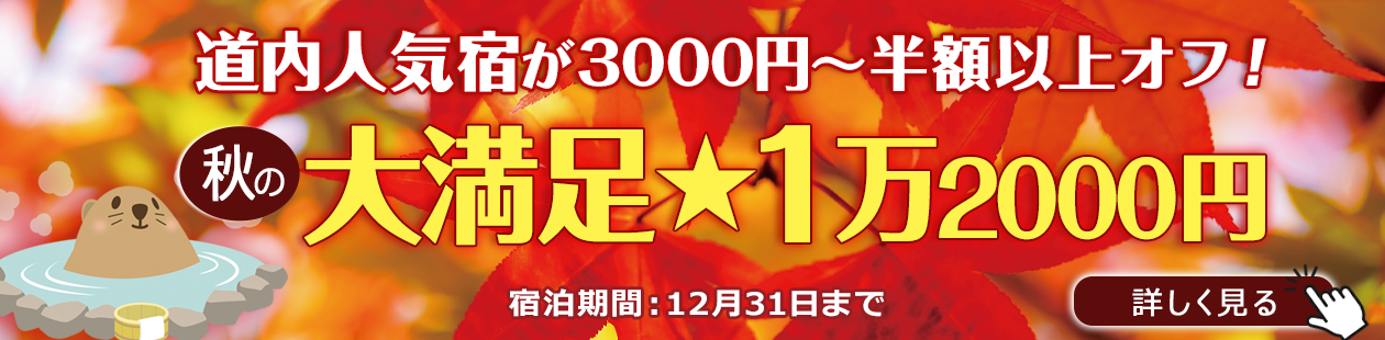 【大満足★1万2000円】4月～