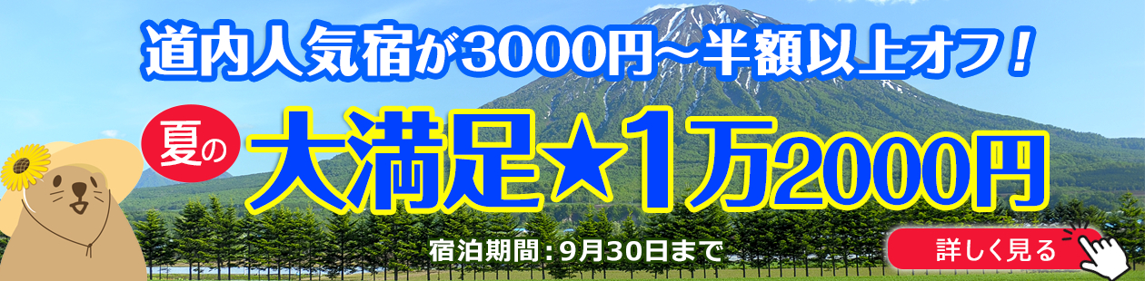 【大満足★1万2000円】4月～