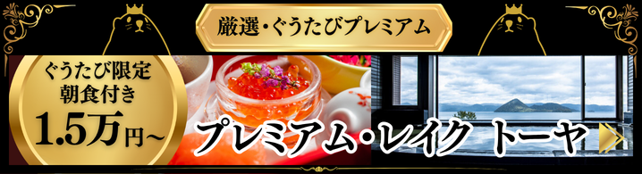 レイクトーヤのプレミアムプラン