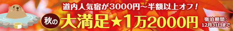 【大満足★1万2000円】