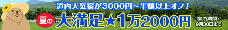 【大満足★1万2000円】