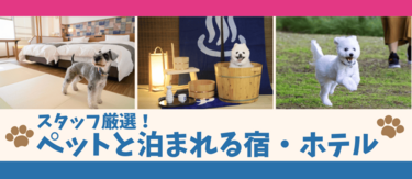 スタッフ厳選！ペットと泊まれる宿・ホテル