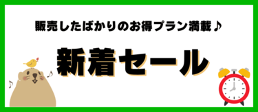 【速報】新着セールプラン
