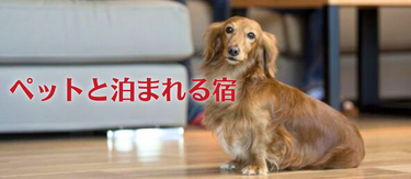 歓迎！ペットと泊まれる北海道の宿