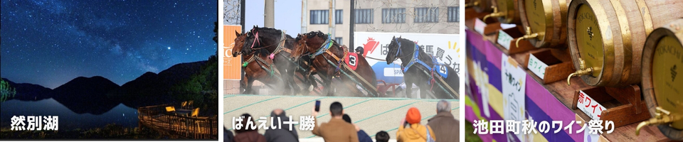 秋の十勝のスポット例2