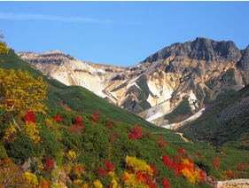 十勝岳登山口から望む紅葉。絶景です♪