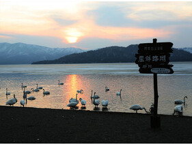 屈斜路湖に沈む夕日
写真の場所は砂湯です。
白鳥もいますよ。
是非一度見に来てください。