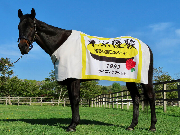 ・【ウイニングチケット】引退後は功労馬として当施設で余生を過ごしました