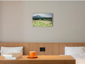 どのお部屋になるかはホテルにおまかせ！木の温もりあふれるお部屋でごゆっくりお過ごしください。