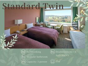 【スタンダードツイン】23平米／ダブルベッド×2＋ソファベッド
