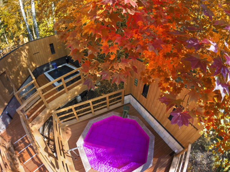 【森の散歩湯WOOD SPA】秋は色とりどりの紅葉をお楽しみいただけます。