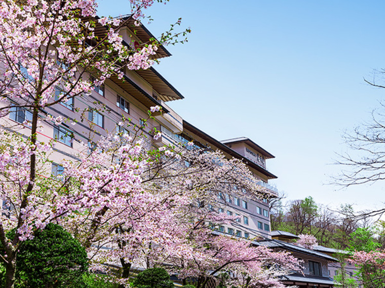 【春】当館のそばに咲くうす桃色の桜。登別の桜の名所「桜街道」の見ごろはGW頃です。