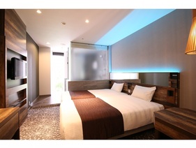 2台のベッドを並べて配置したハリウッドスタイルの28平米のお部屋です。