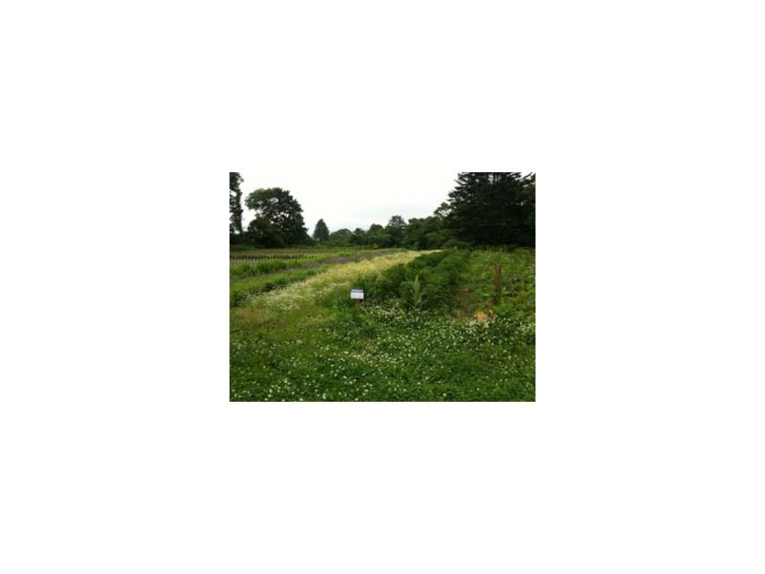 自由に散策でき、希望すればスタッフが園内を案内してくれます。大沼公園の観光途中に立ち寄ってみては？