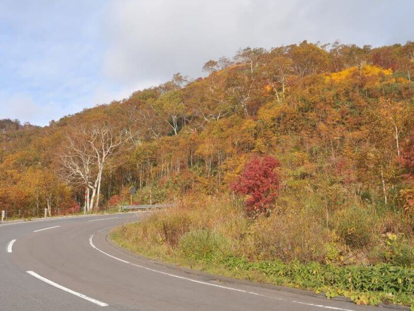 美しい景色が続くドライブコース。わき見運転やスピードの出し過ぎには、くれぐれもご注意を