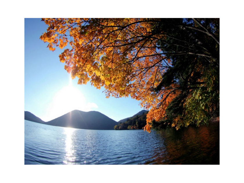 紅葉シーズンには美しい景色をカメラに収めるために多くの写真家達が集まります