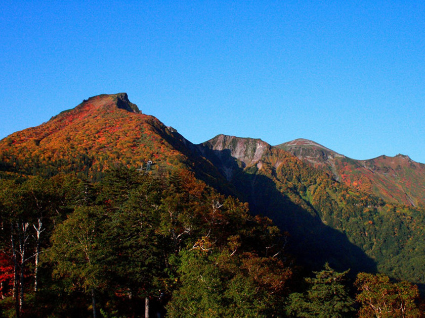 黒岳では山頂周辺、7合目、5合目とそれぞれ異った紅葉が山肌を飾ります