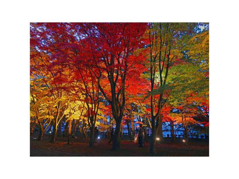 明治時代に造成された風景式庭園。書院造りの「園亭」や、レンガ造りの「温室」があります
