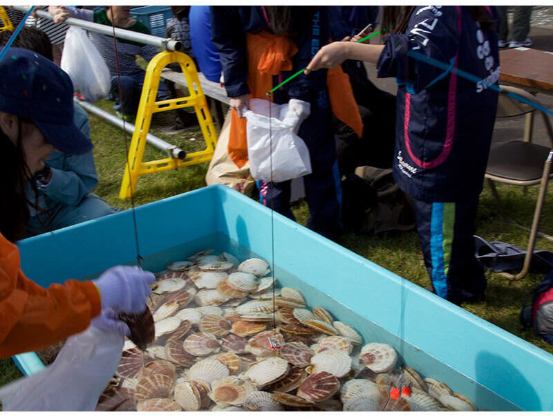 ほたてキャッチャー