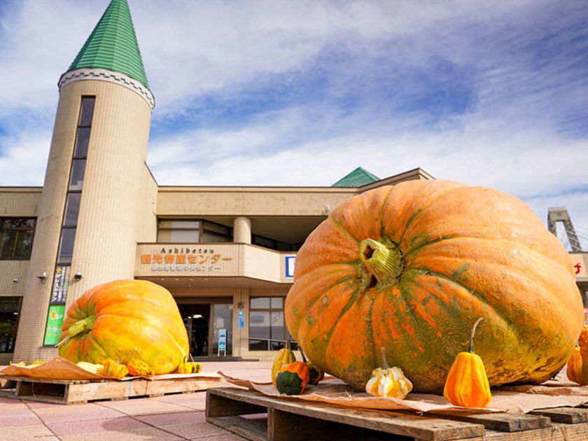ジャンボかぼちゃが展示されるほか、かぼちゃの重量当てクイズがあります