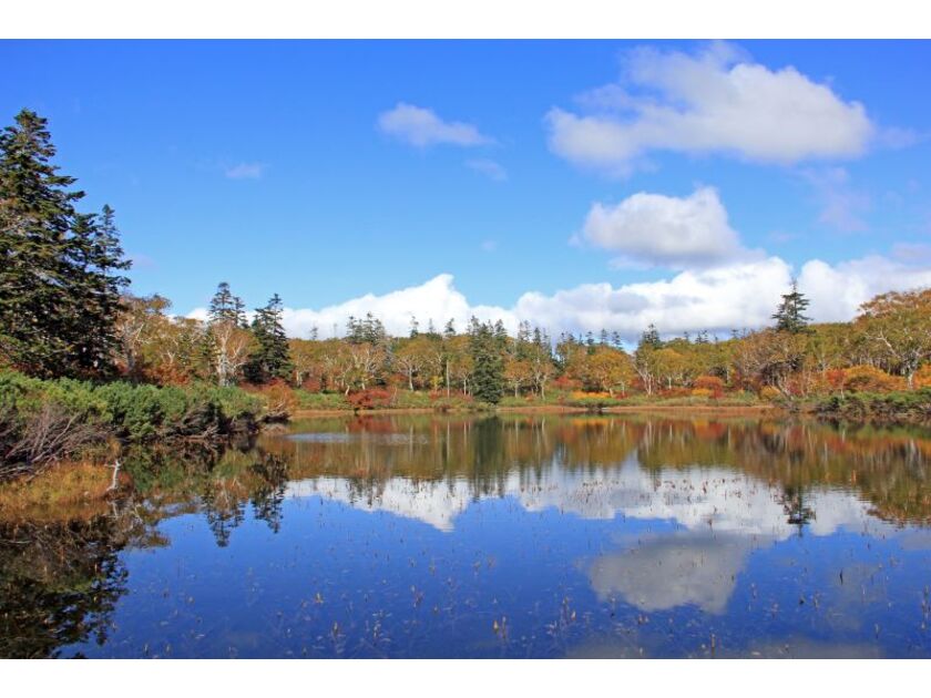 秋には青空を写し出しブルーに輝く湖面と、紅葉とのコントラストが美しい