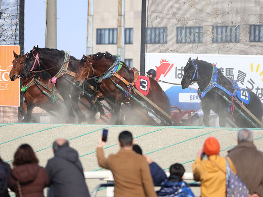 障害をのぼる姿は迫力満点！