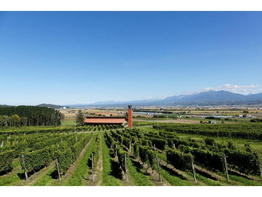 雄大な十勝岳と2万4千坪の広大なぶどう畑に囲まれた建物です
