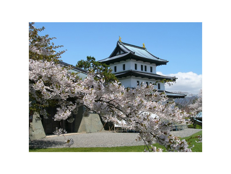 松前公園が桜に彩られるこの季節は、松前城も華やいだ雰囲気に。この城は日本式の城郭としては日本で最後につくられたものです