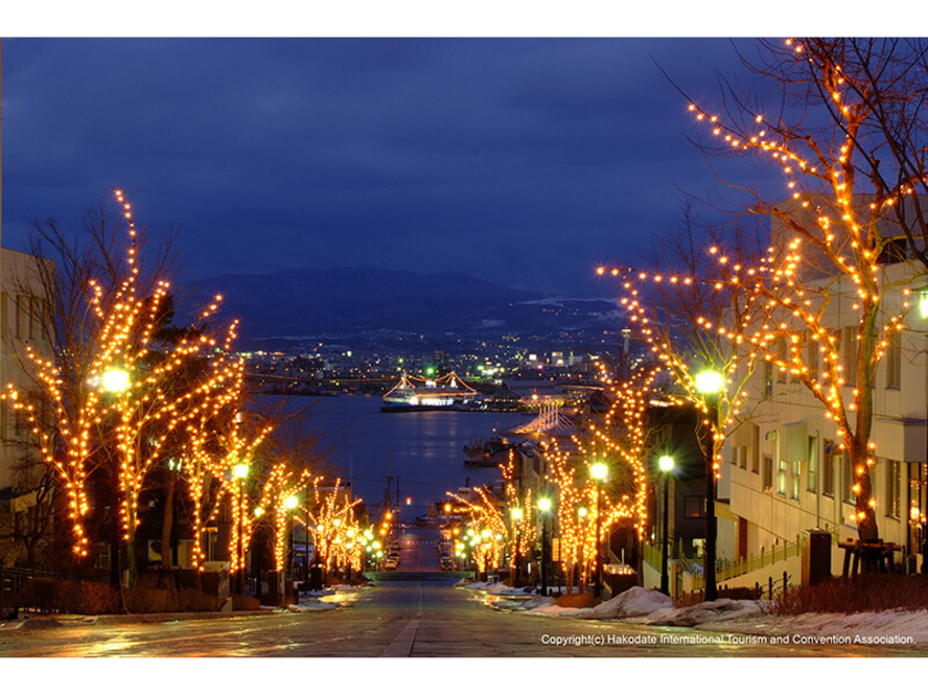たくさんの電球が函館の街並みを彩る(八幡坂の様子)