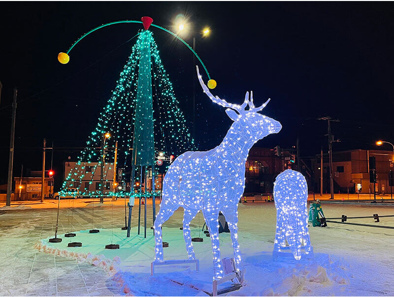 雌雄つがいのエゾジカとモニュメントツリー