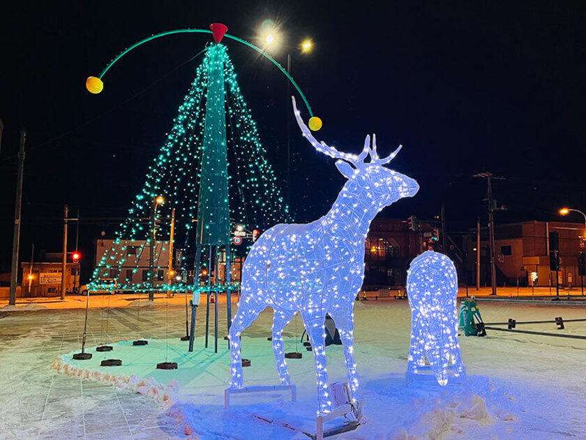 雌雄つがいのエゾジカとモニュメントツリー