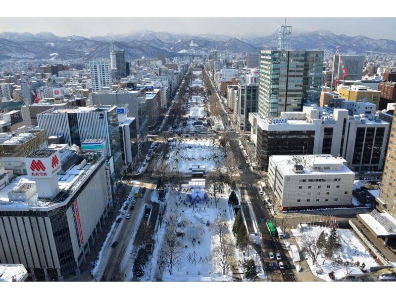 札幌テレビ塔からの雪まつり全景