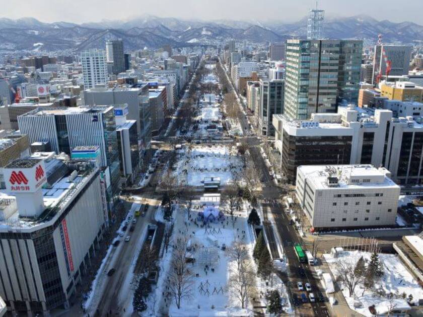 札幌テレビ塔からの雪まつり全景