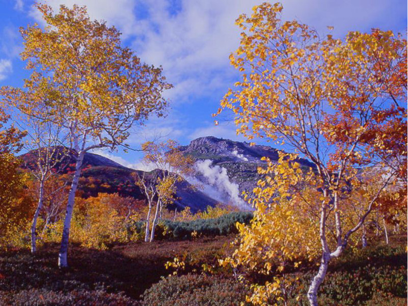 美しい紅葉に彩られる秋の硫黄山。わずかな期間だけ優美な景色を楽しめる秋は、硫黄山のベストシーズンです
