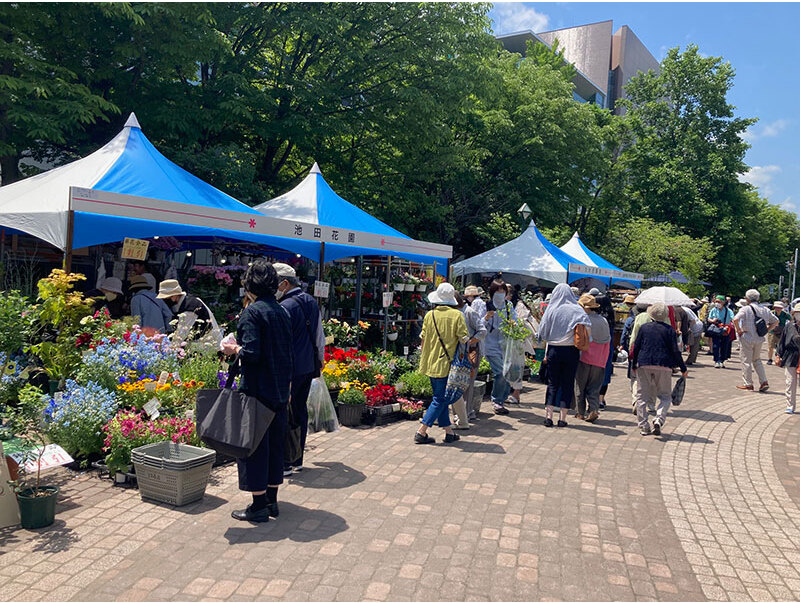 色とりどりの花が並ぶ7丁目会場の花市場