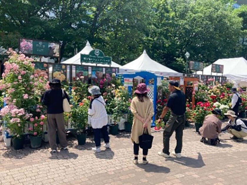 色とりどりの花が並ぶ花市場