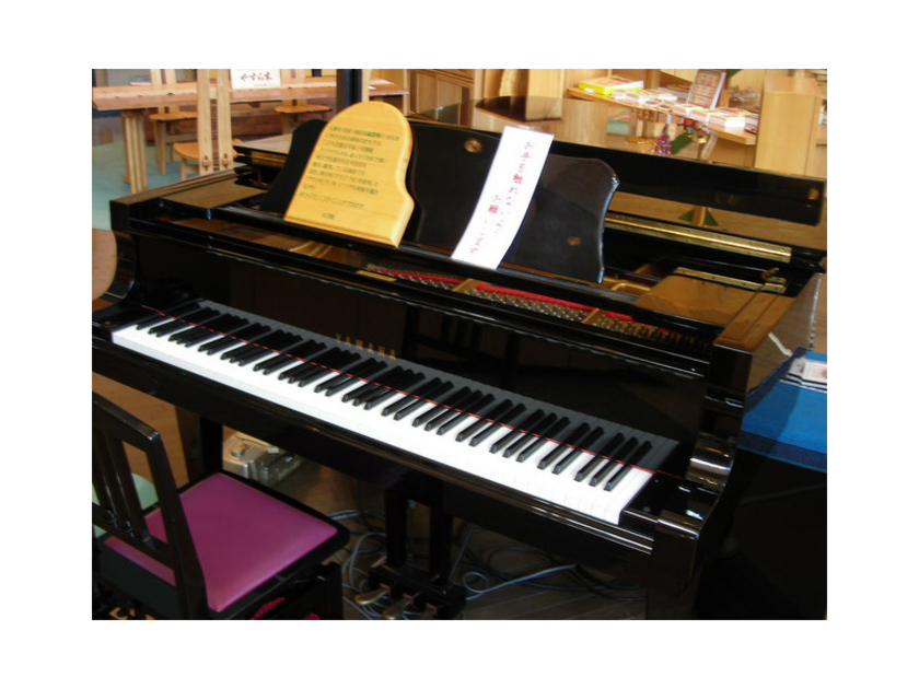 自動演奏のピアノの調べが響き渡ります。特徴のある施設の形状が生み出す音響効果はプロも絶賛