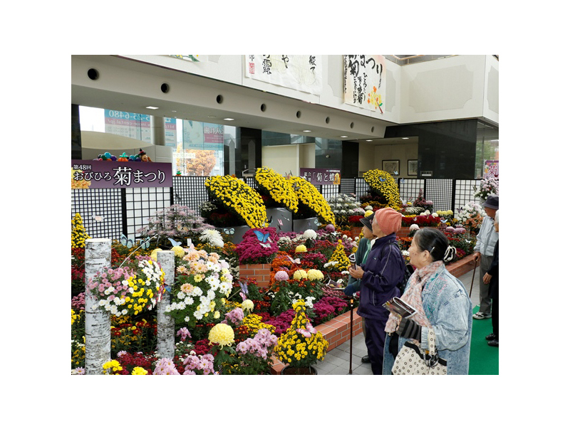 「菊花展」には約200展、「総合花壇」には、約1,300鉢の菊が並びます。
