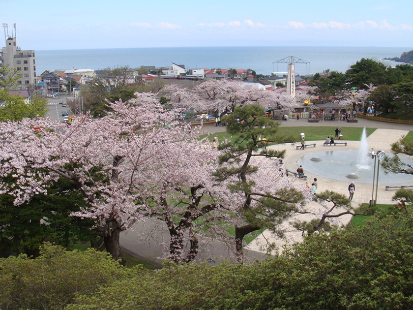 四季を通じて様々な景色が楽しめる函館公園